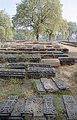 The archeologica excavations of the site of Sarnath 